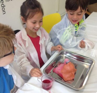 Kids With Brains Science Workshops