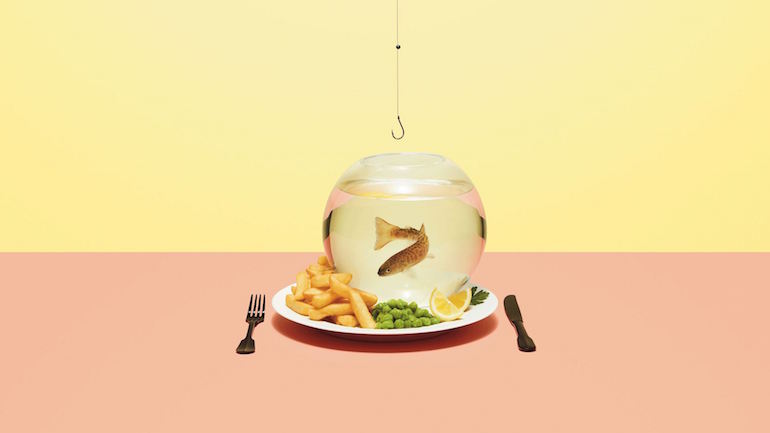 BiggerThanThePlate